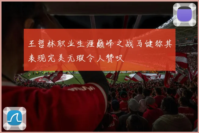 王哲林职业生涯巅峰之战马健称其表现完美无瑕令人赞叹
