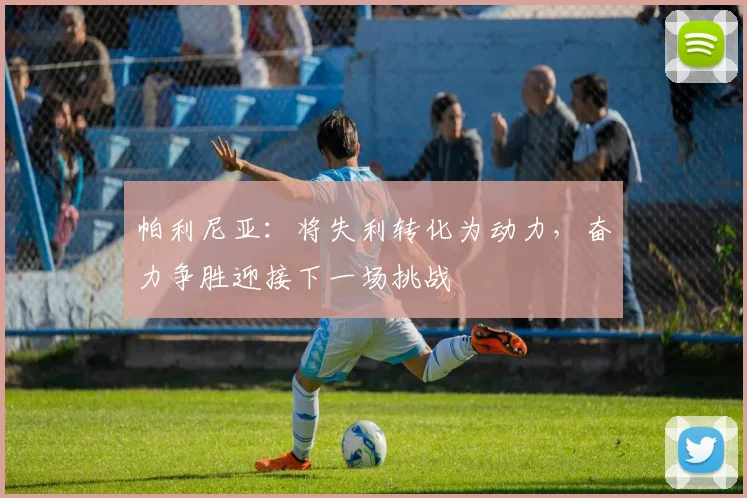帕利尼亚：将失利转化为动力，奋力争胜迎接下一场挑战