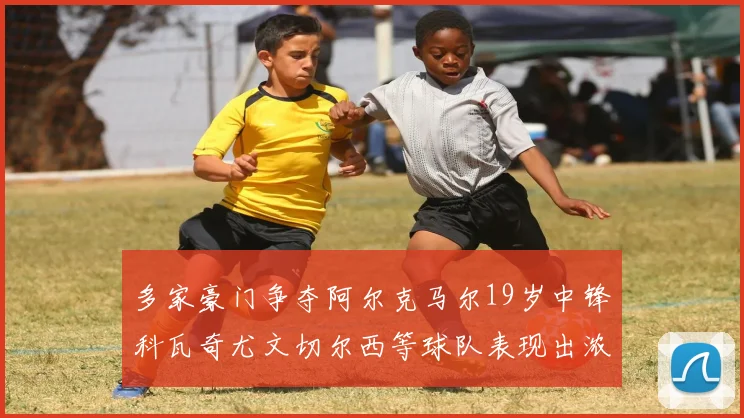 多家豪门争夺阿尔克马尔19岁中锋科瓦奇尤文切尔西等球队表现出浓厚兴趣